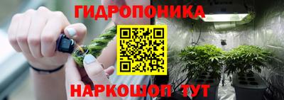 Альфа ПВП Моздок