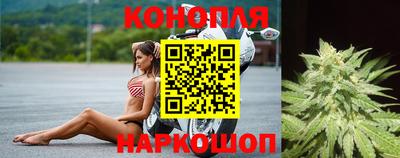Альфа ПВП Моздок