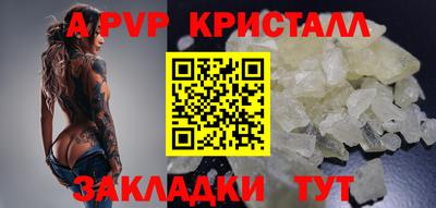 Альфа ПВП Моздок