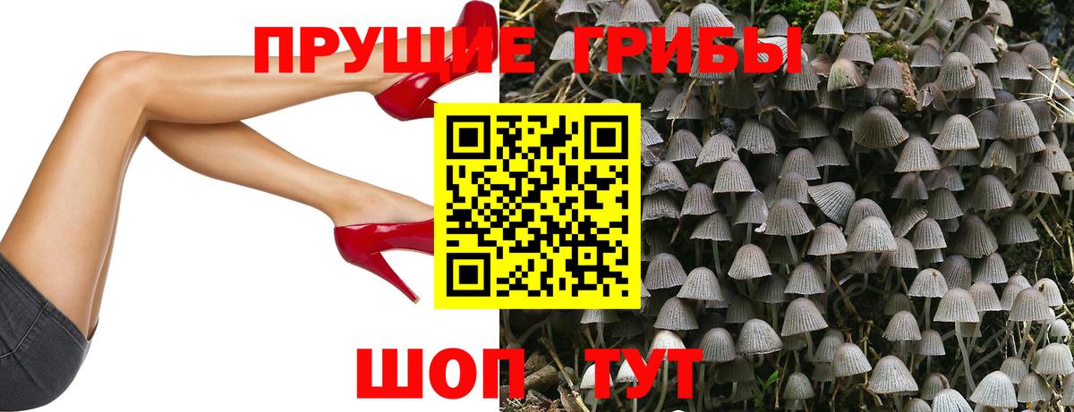 Галлюциногенные грибы ЛСД Бузулук