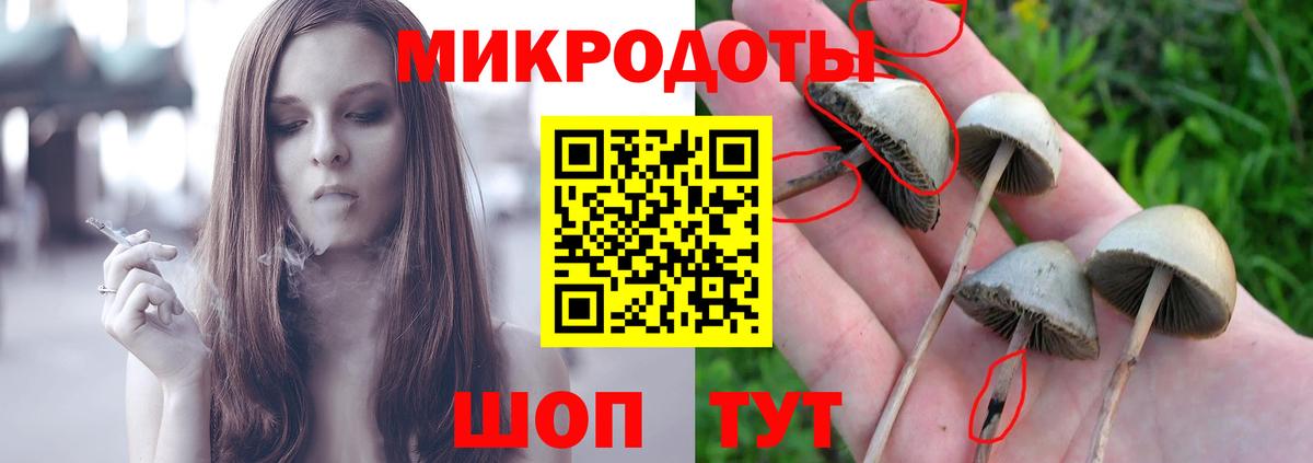 Бузулук  Галлюциногенные грибы прущие грибы  Вход с VPN  Псилоцибиновые грибы Magic Shrooms 